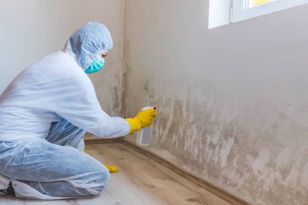 Hvac And Air Duct Mold Remediation inspection of HVAC system in Ward